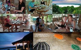 Hotel Turtle Paradise  4*
